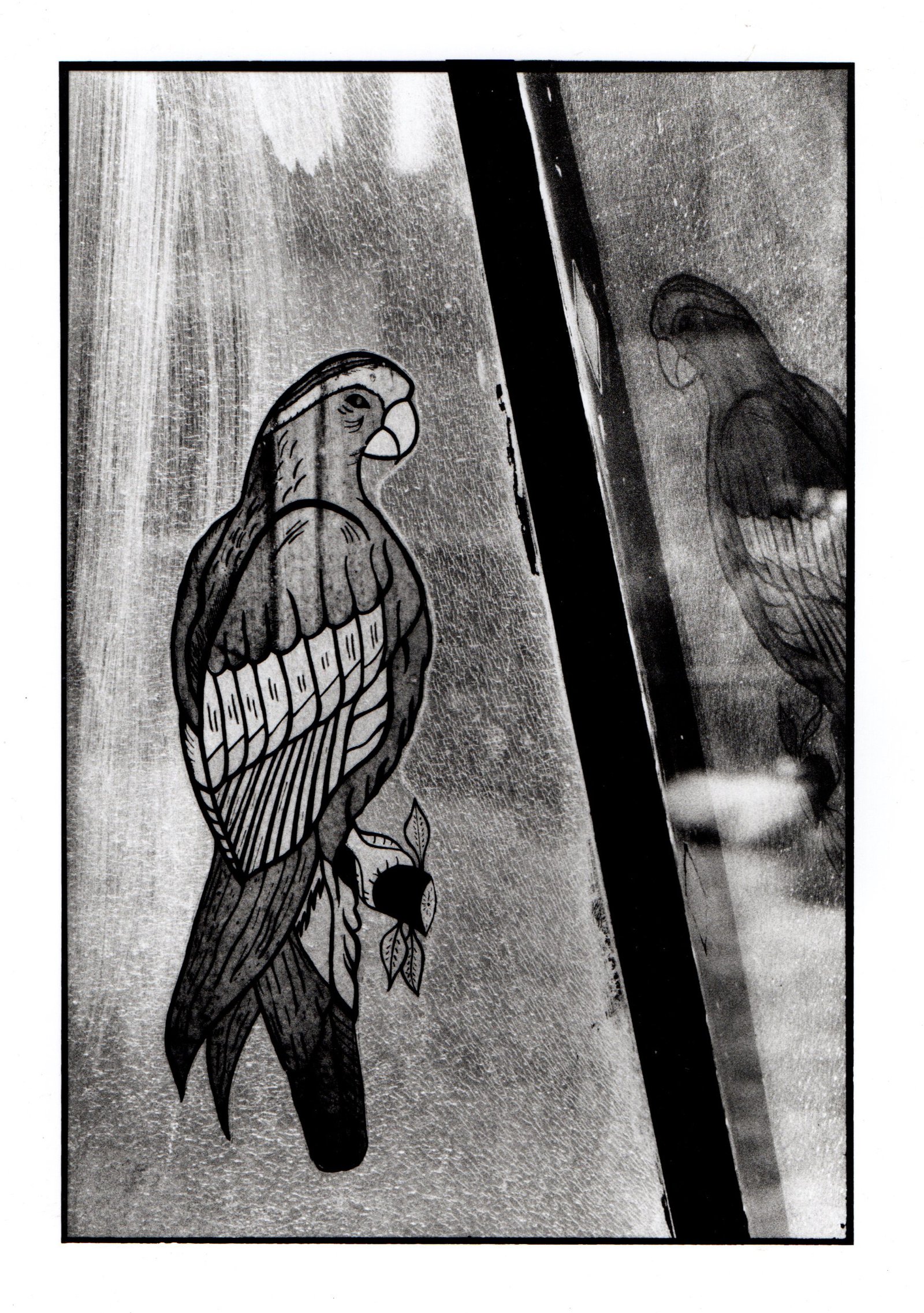 Micros — fotografía 5