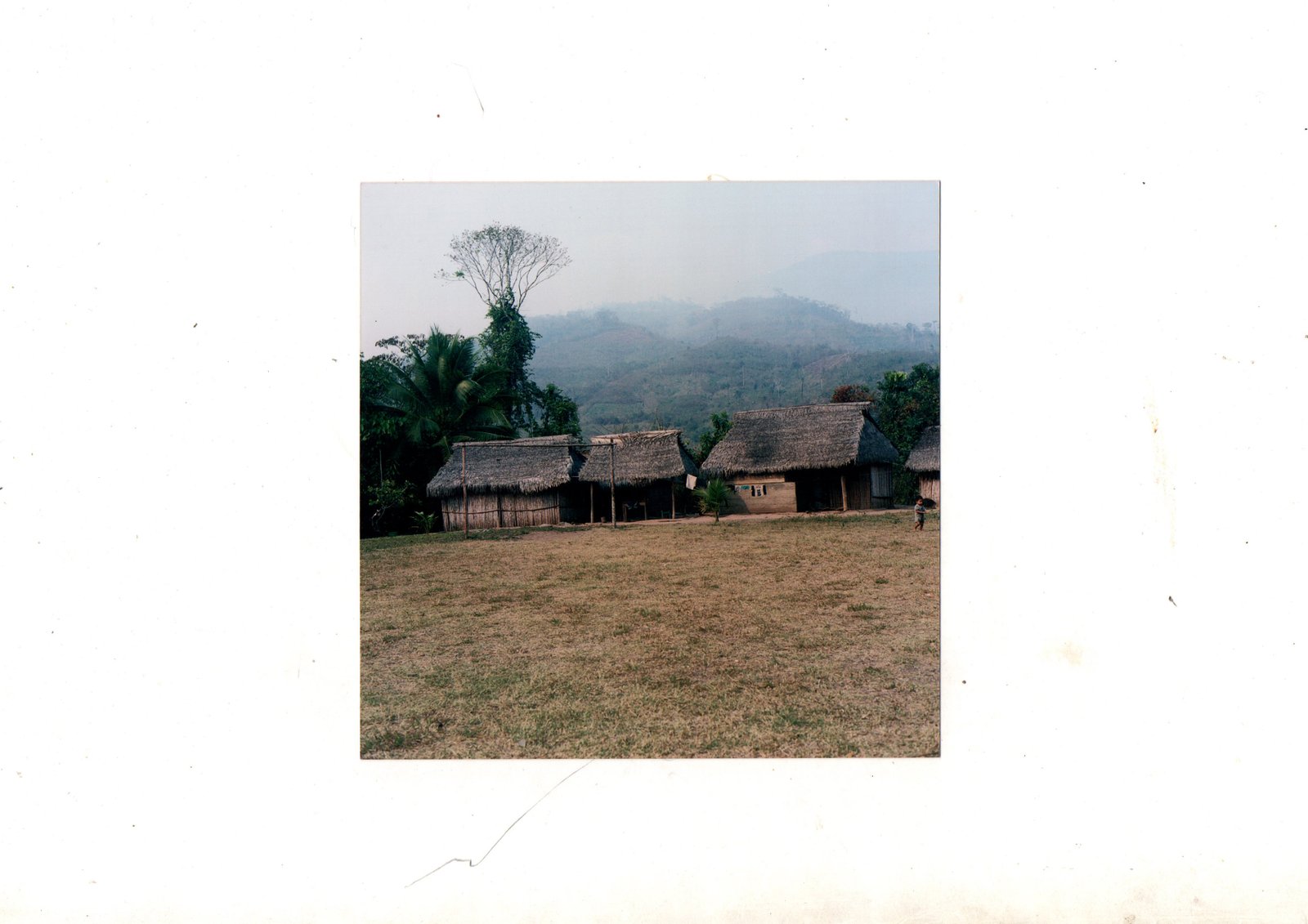 Nativo Soy — fotografía 1