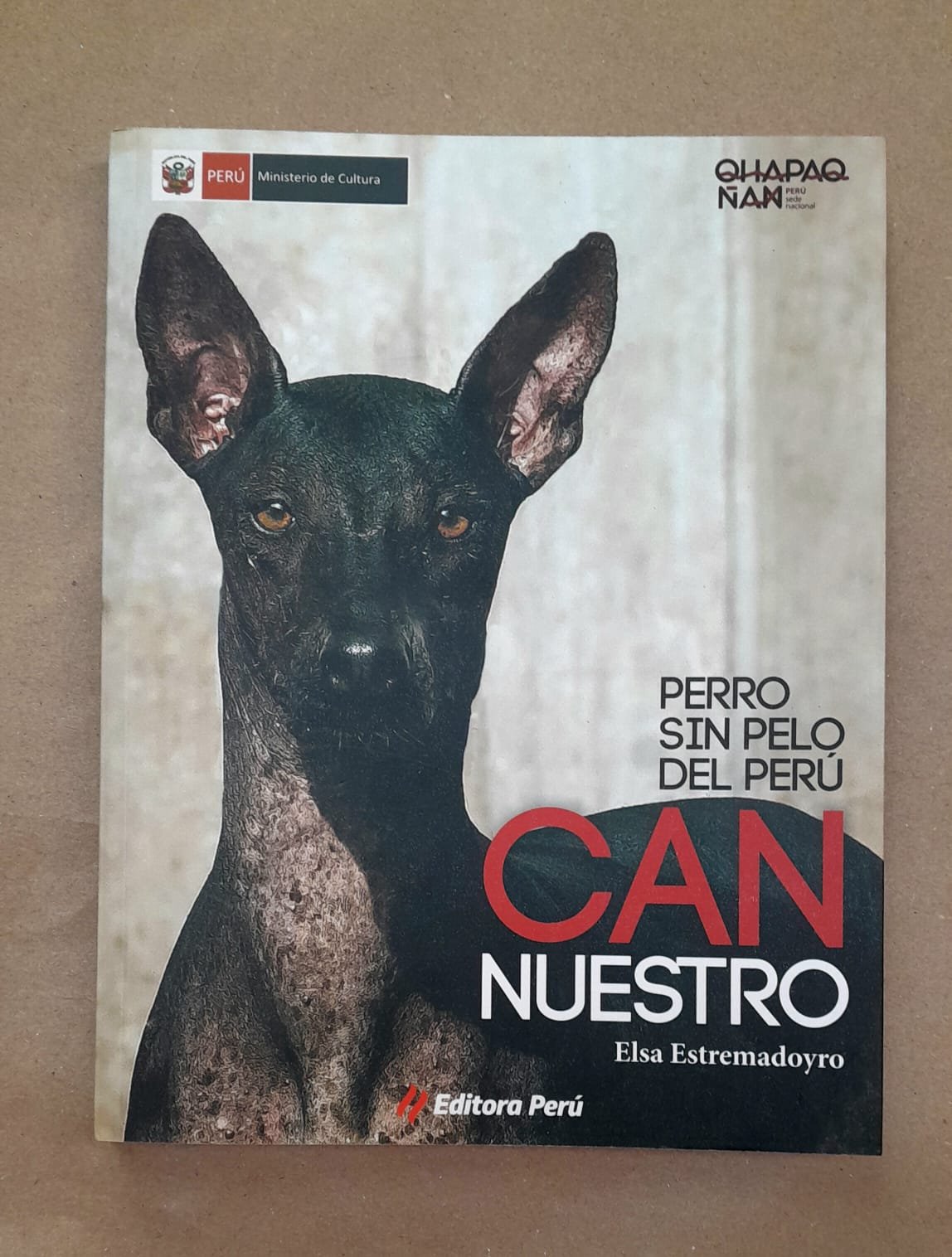 Publicación — imagen 1