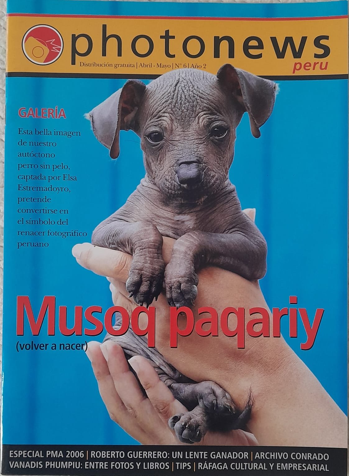 Publicación — imagen 4