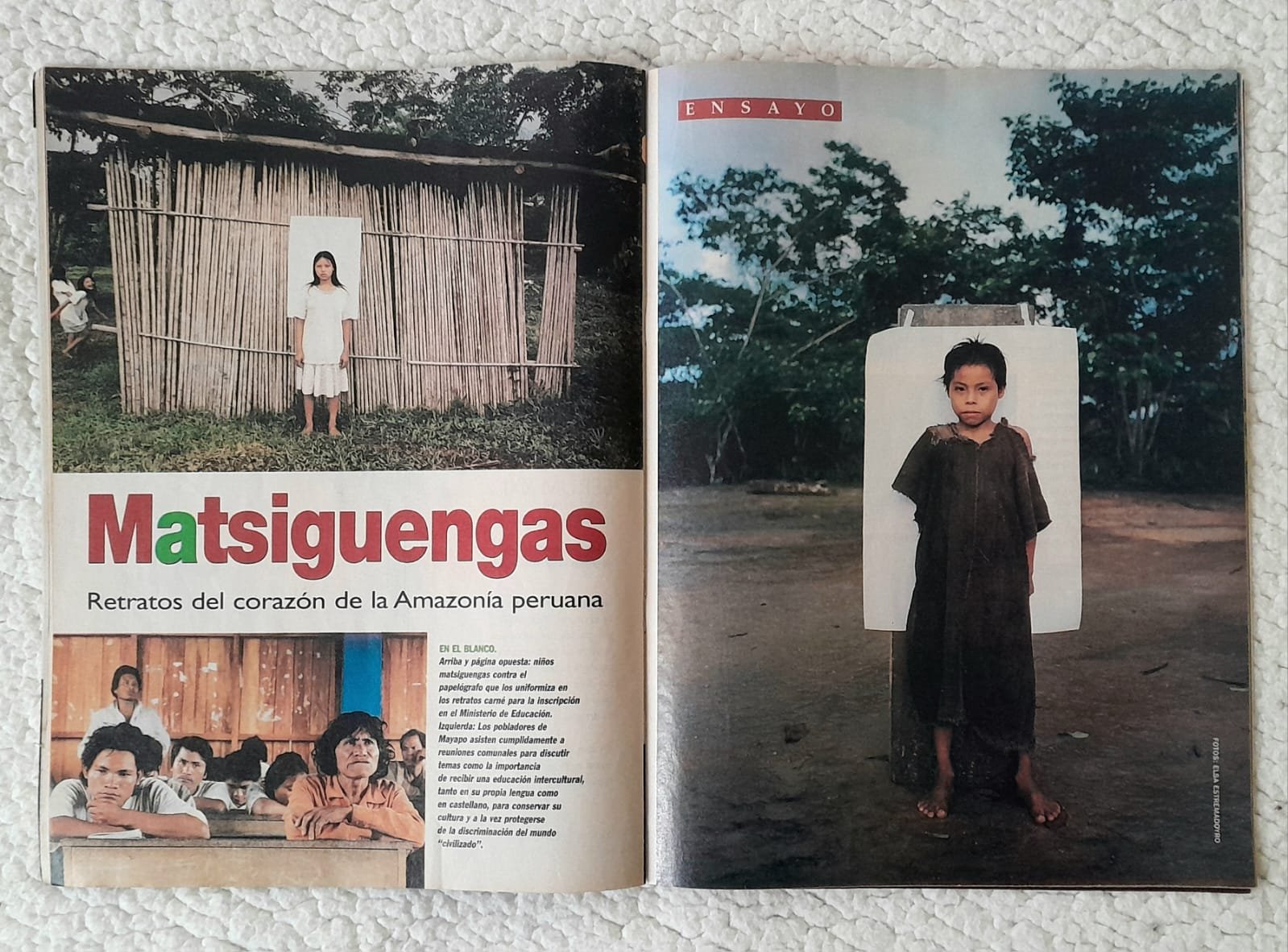Publicación — imagen 6