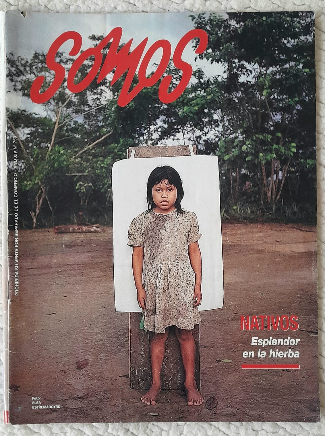 Publicación — imagen 5